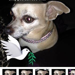 Meet your Posher, Gloria